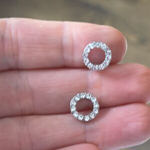 Crystal Eternity Circle of Life Halo Stud Earrings in Silver Tone